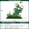 money tree 1mlong