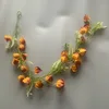 สีสันแห่งฤดูใบไม้ร่วง