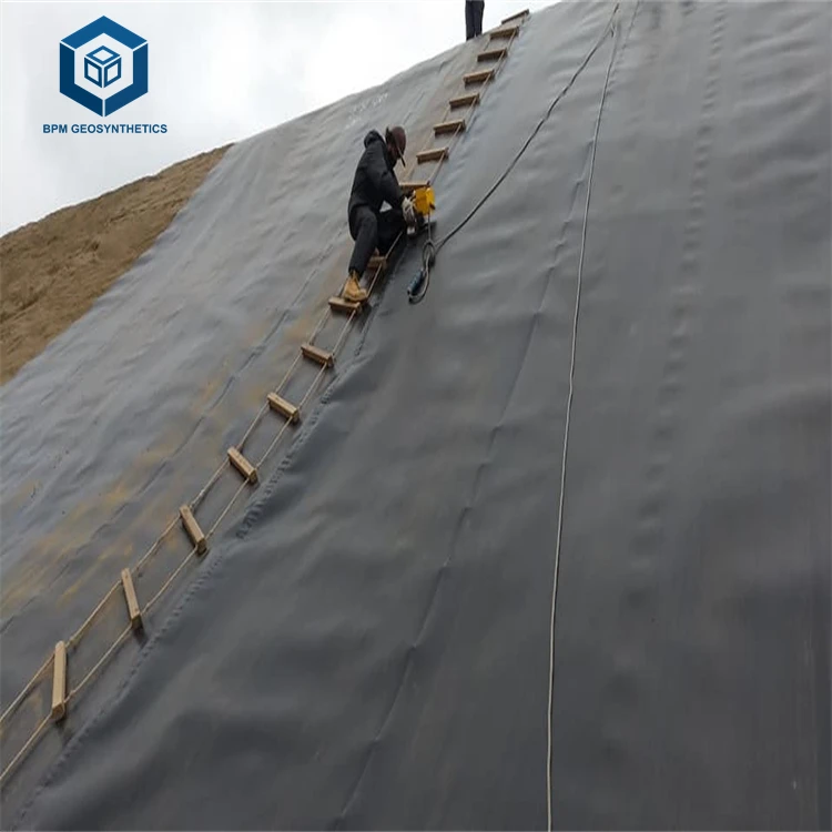 Cheap Price Flexible 1mm HDPE Smooth Plastic Geomembrane Liner for Dam Project in Australia