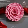 Rosa Dolce