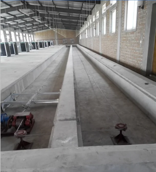 Poultry Manure Scraper System for Poultry Chicken House