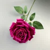 Rose à grandes cornes - Violet foncé