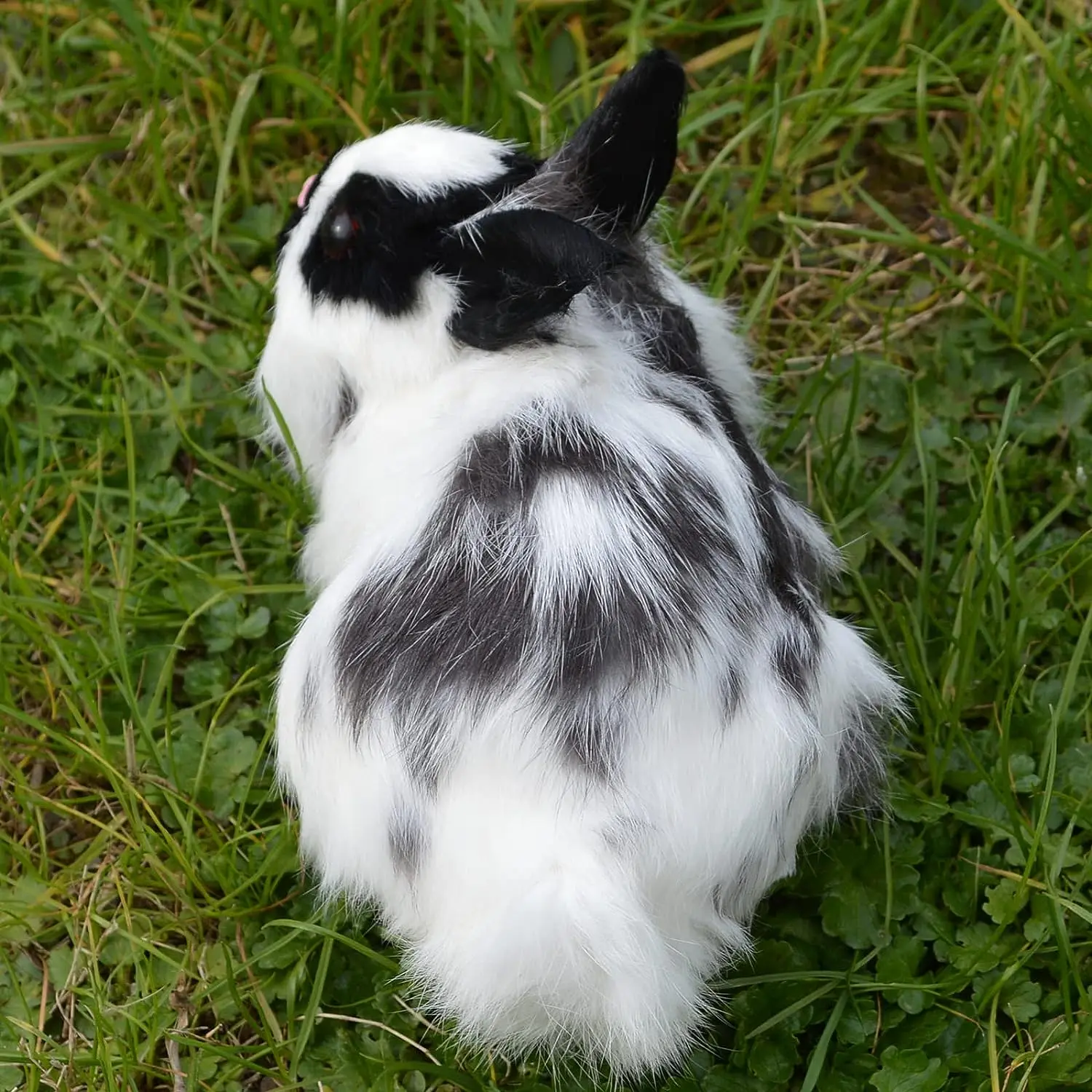 Realistic Furry Rabbit Realistic Furry White Rabbit Statue Simulation Farm Animal Model Home ...