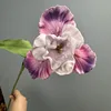 Pourpre