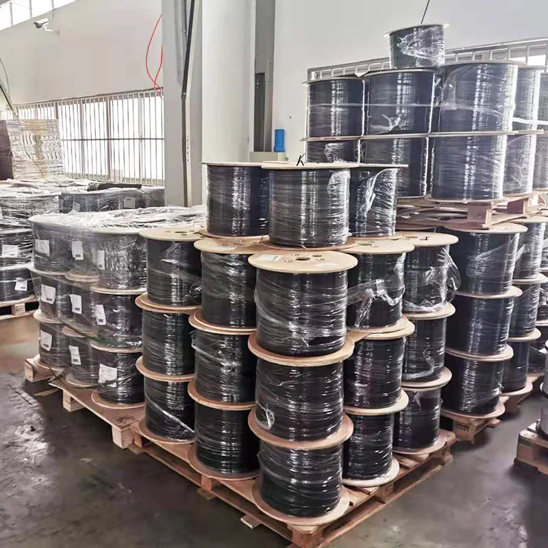 RoHS-Compliant 12-Core Single-Mode U-DQ(ZN)BH Fiber Optic Cables with Central Tube Design for Internet Backbone