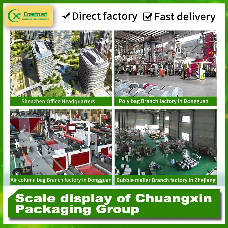 ZGCX Free Sample in Stock Shipping Small Mailer Bag Blank Polly Bags Image Full Color Green Recycled Mailing Logo Poly Mailers