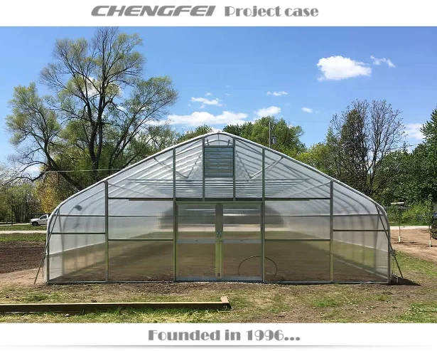 Chengfei Gothic Agricultural Single-span Blackout Light Deprivation Pe ...