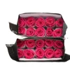 Rose Madder