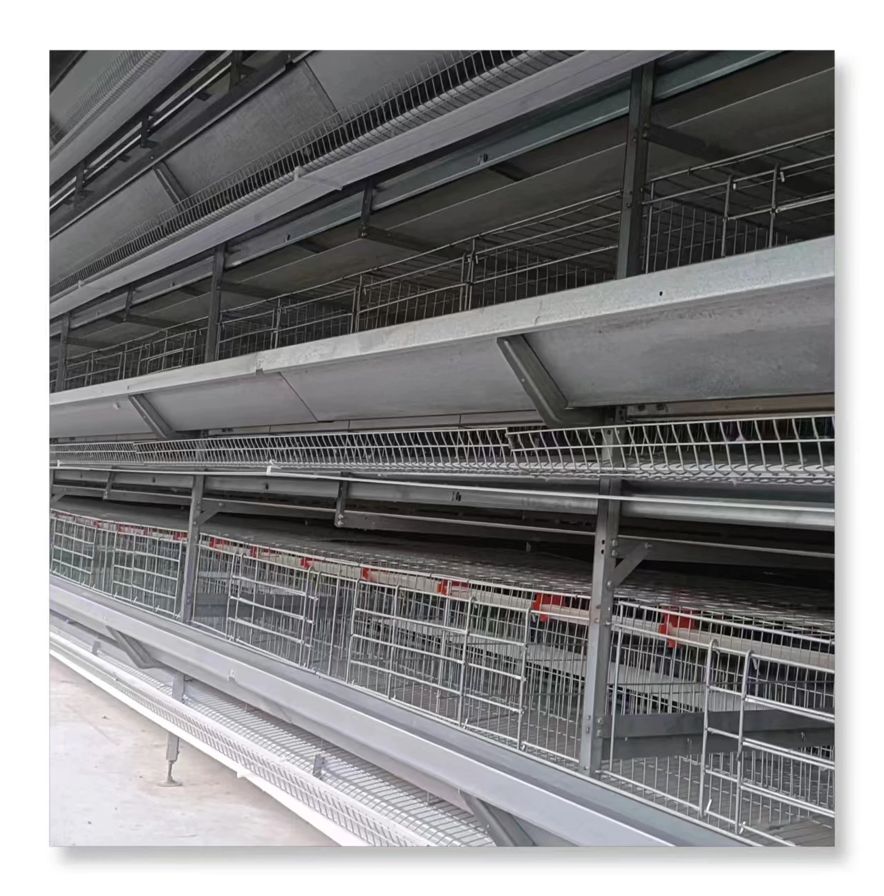Modern Design Automatic Poultry Farming House H Type Battery Cage Chicken Farm for Egg Layer