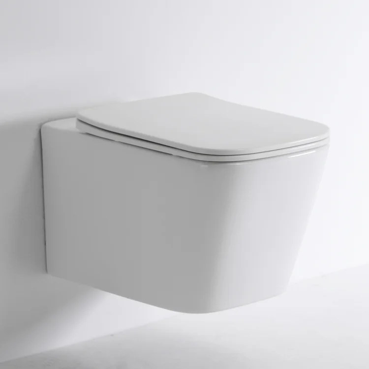 Rimless Wall Hung Toilet