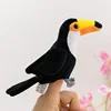 Big billed Bird