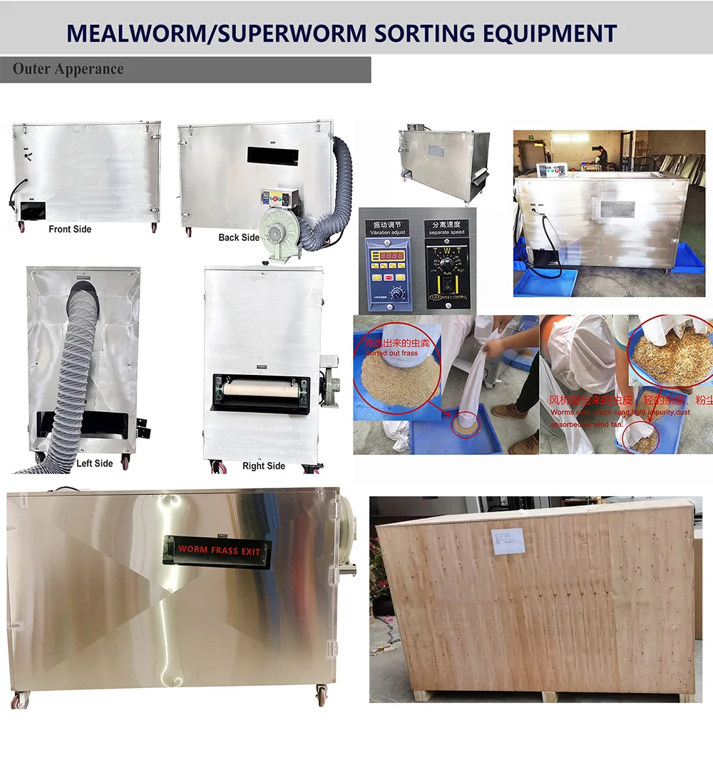 Mealworm Breeding Farm Super Worm Zophobas Morio Barley Worms Tenebrio