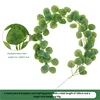 1 metro di puro eucalipto verde primavera