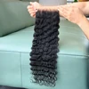 Burmese curl