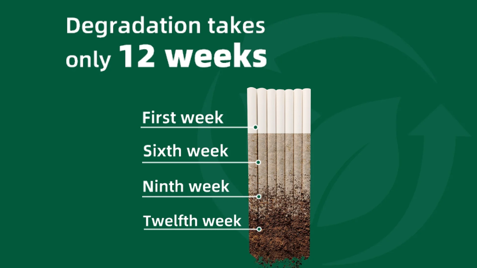 Compostable Biodegradable 1layer Water Barrier Coated Disposable Paper