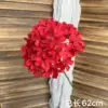 Ortensia lecca-lecca rossa
