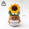 Pianta di girasole in vaso