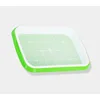 Large seedling tray 32*2.5*5cm