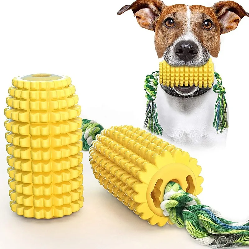 Dog Toothbrush Chew Toy