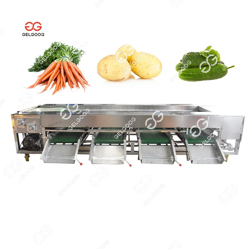 Gelgoog Automatic Chestnut Sweet Potato Sorting Machine Price Electric Potato Calibrator Sorter