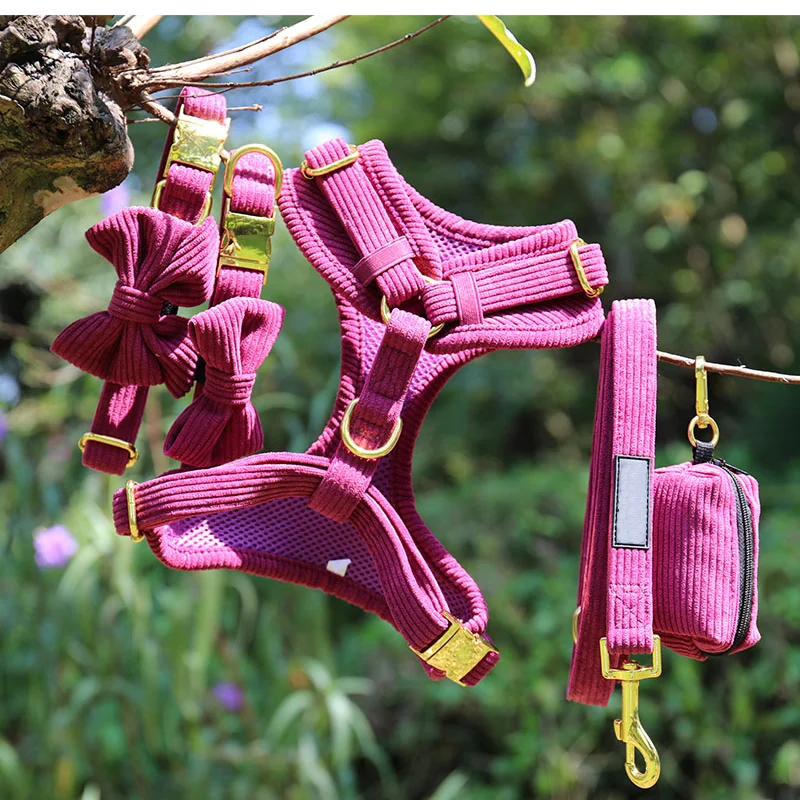 Custom Design Soft Wholesale Velvet Corduroy Puppy Dog Leash Lead Set