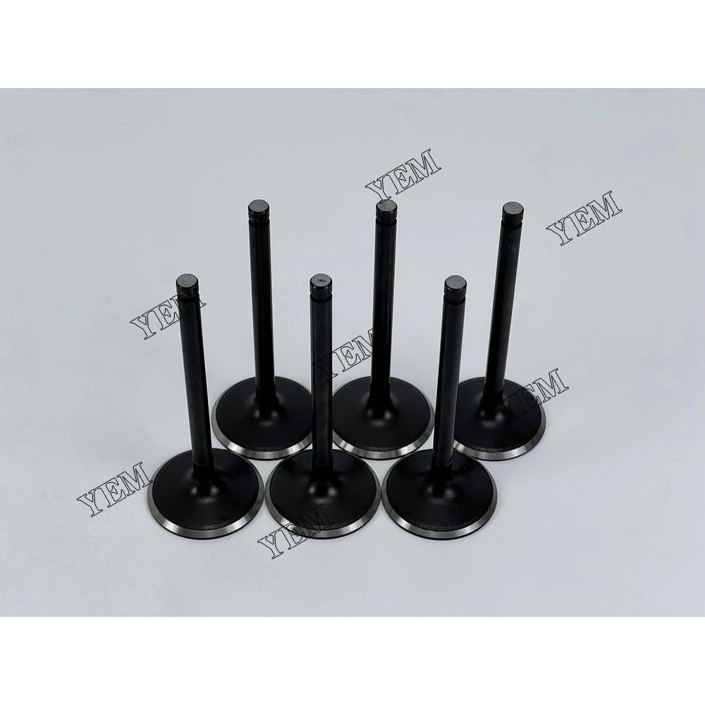 High Quality for Nissan TB42 Intake Valve Engine Spare Parts 2