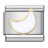 Icj038-1silver