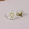 White one flower