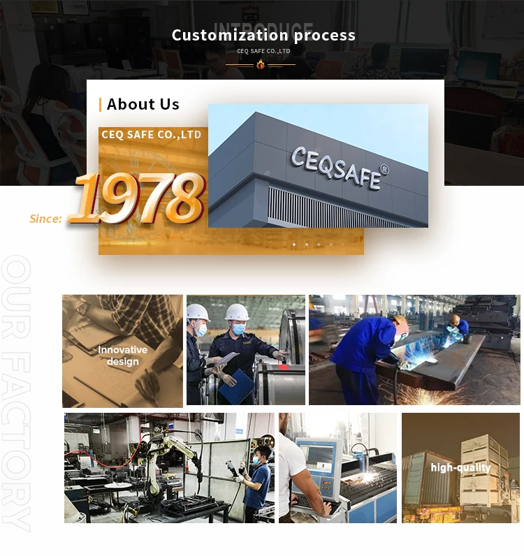 Company overview