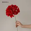 Rama única de hortensia roja