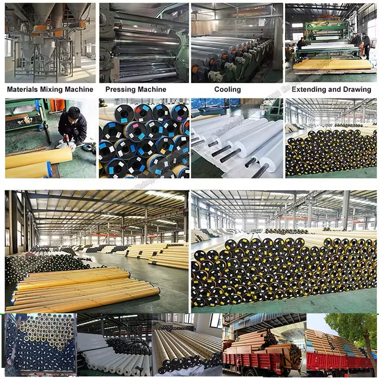 factory wholesale single layer double layer pvc perforations film-4