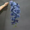 Blu polveroso