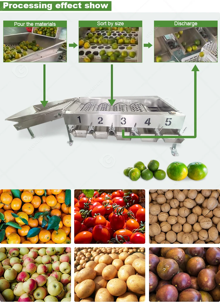 Apple Onion Orange Blueberry Potato Avocado Date Fruit Tomato Sorter ...
