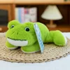 Palmier grenouille
