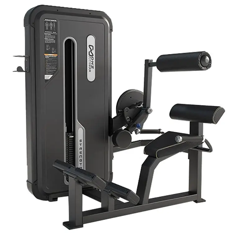 DHZ Fitness E3031A Back Extension Machine for Gym Centers - High