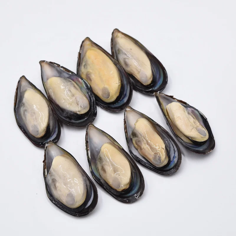 frozen mussel half shell mussel meat - buy half shell mussel