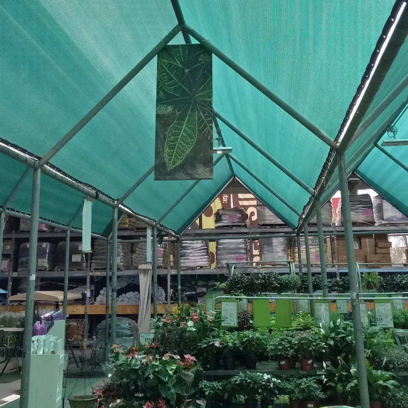 Scene image