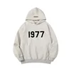 Light gray hoodie