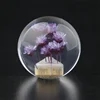 สีม่วง