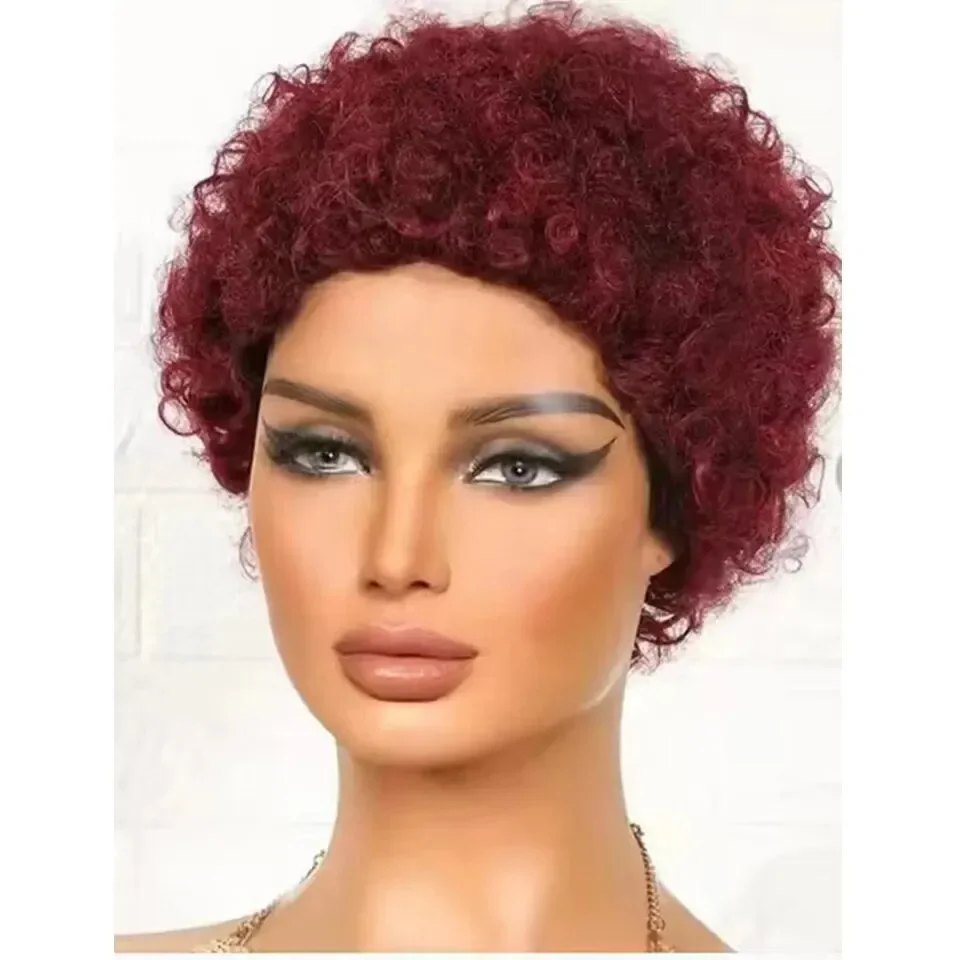 Parrucche corte e ricce Pixie Cut Fluffy Glueless Parrucche di capelli umani per donne e ragazze Parrucche afro Puff rimbalzanti morbide ed economiche Parrucca dall'aspetto naturale_voghion.com