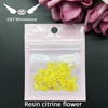 Flor de resina 2