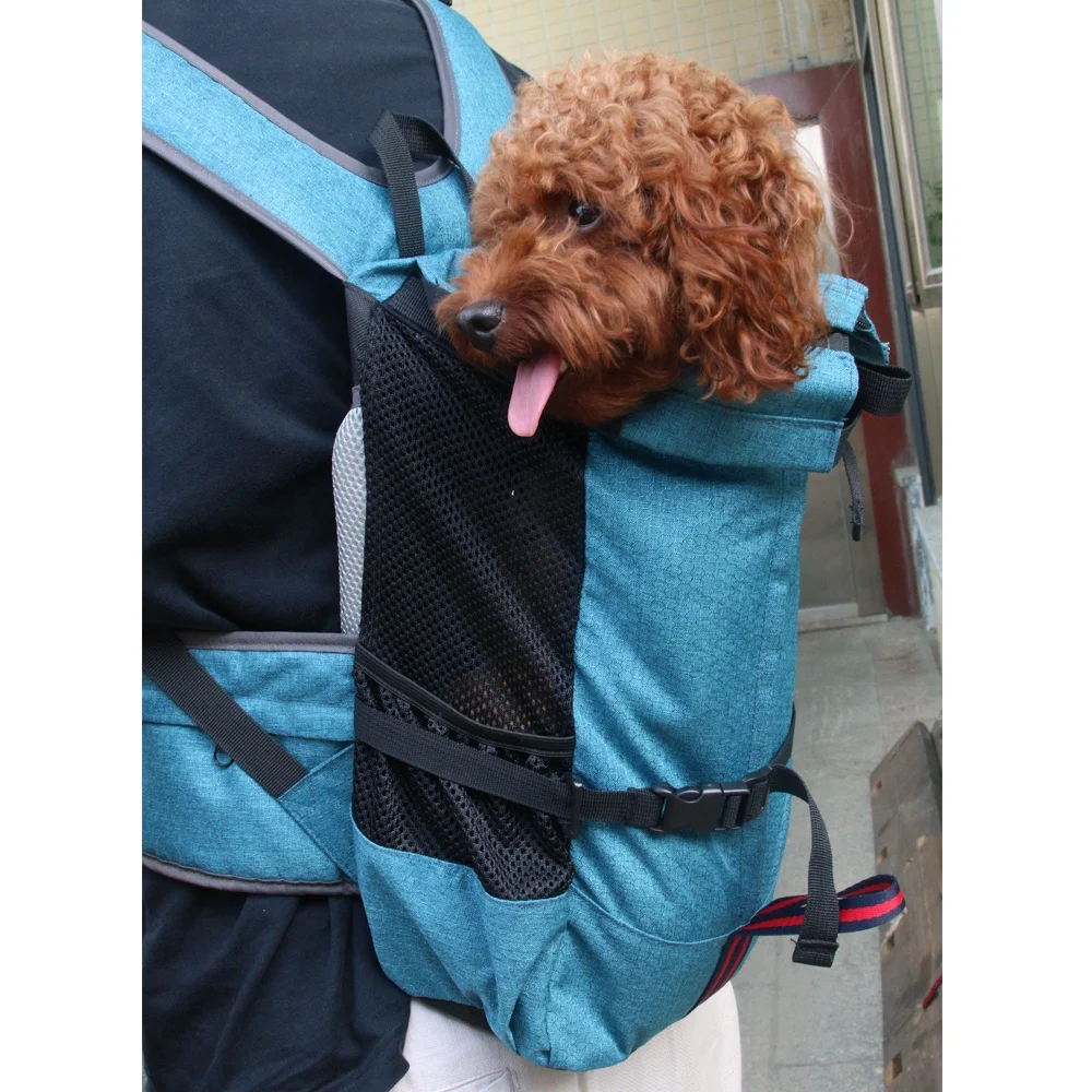small dog shoulder bag carrier