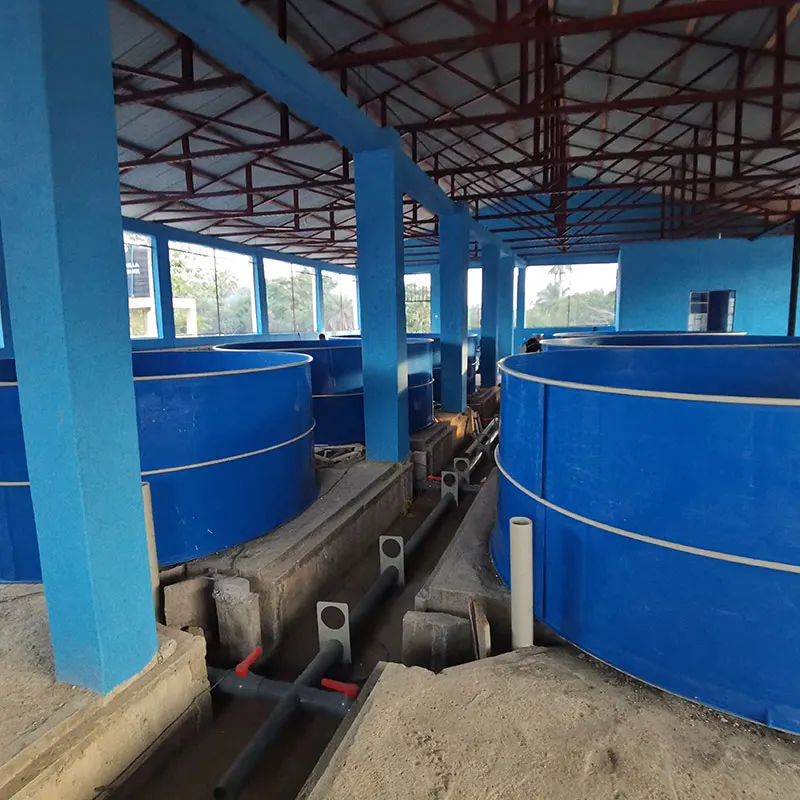 Wholesale Price Professional Factory OEM Custom Indoor Fish Farm Ras System Recirculating Equipment for Sea Water