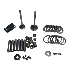 High Quality Truck Parts Yuchai Engine Cylinder Head Repair Kit Intake and Exhaust Valve Valve Seat Rings Valve Guides YC4E140