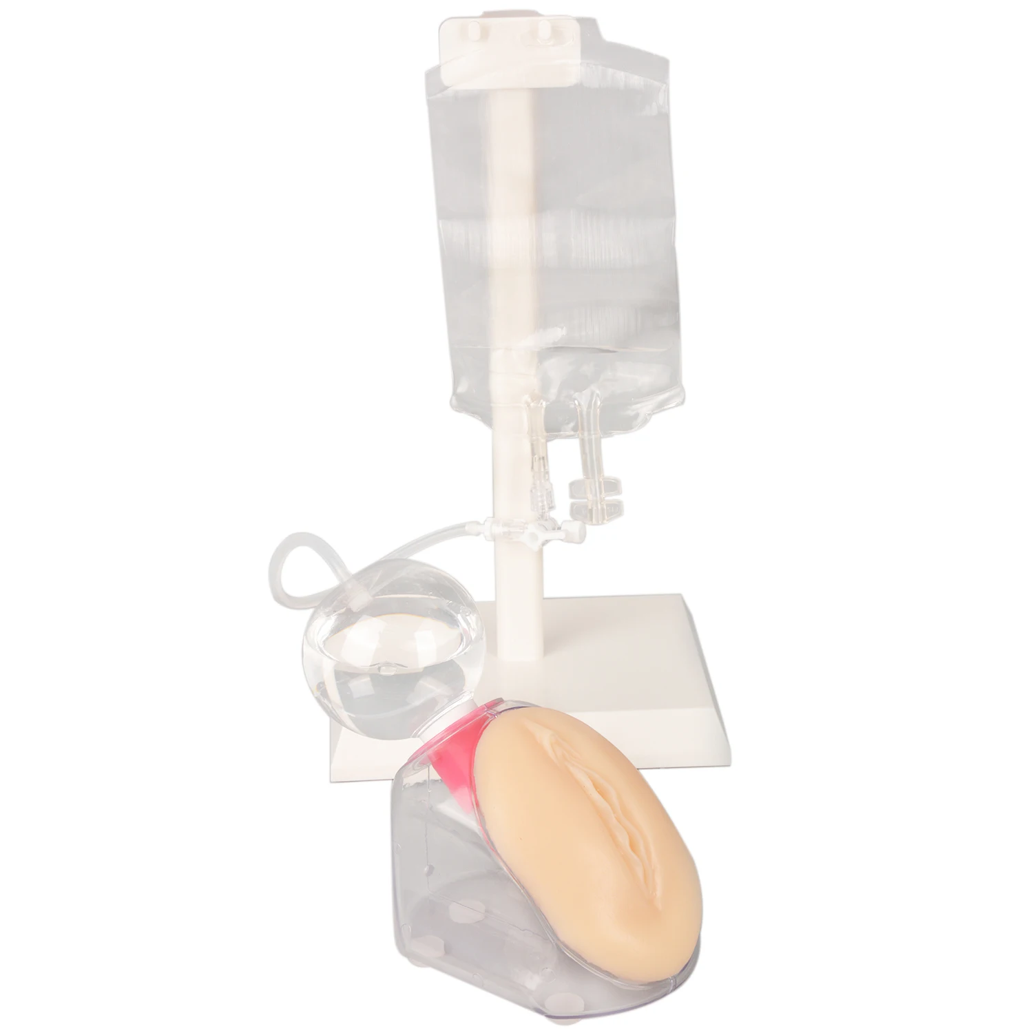 Female Urinary Catheterization Model Urethral Catheter Insertion Practice Training Tools Medical Simulator