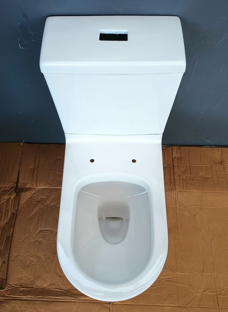 Factory Price  Bathroom Ceramic Washdown P Trap Two Piece Toilet Bowl Modern Dual-Flush Design WC Toilet Seat