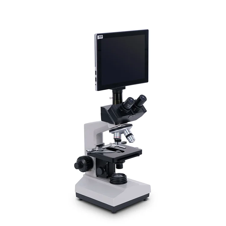 YSXWJ2310 Medical Microscope Electronique Factory Binocular Microscope Medical Germ Digital Scanning Electron Microscope Price