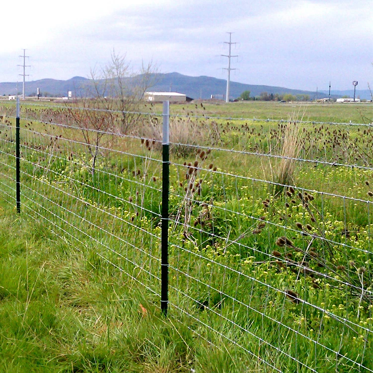 Factory Produced 8ft Galvanized Sheep Fence, Anti-rust and Anti-corrosion, Chain Link Fence with Uprights  Cattle Fence