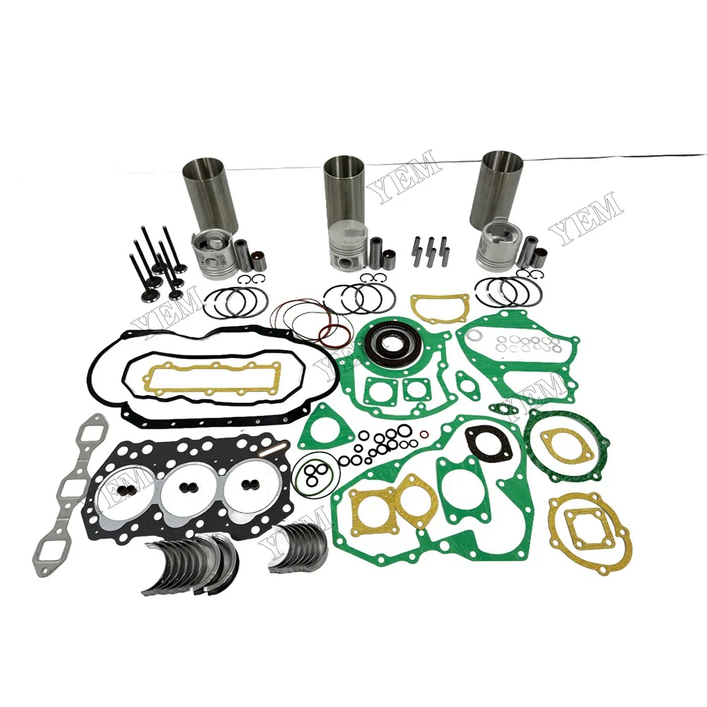 Overhaul Kit With Valves Fit for Mitsubishi S3Q2 Engine 3