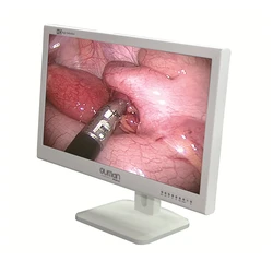 LCD Monitor